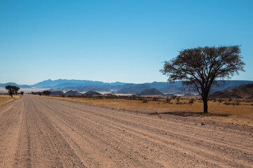 Fototapeta na wymiar gravel road leading to sossusvlei in namibia