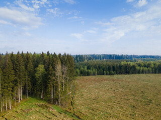 Fototapeta premium A clearing and a road in the forest from a bird's-eye view from a drone.