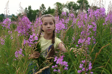 beautiful teenage girl among the pink flowers of Ivan-tea or a blooming Sally. Medicinal plant willow-grass grows in the meadow. Wildflowers