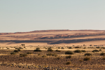 typical landscape of namibia between kalahari and namib desert during self drive safari