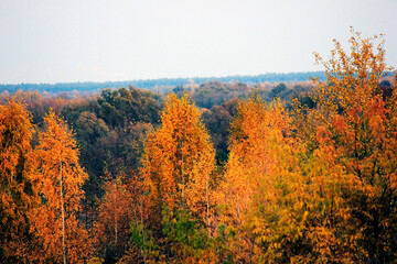 Fototapeta premium autumn in the mountains