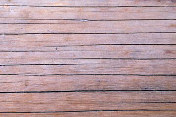 log close-up. The burnt wood texture of a felled tree. Wooden background