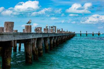 pier in the sea