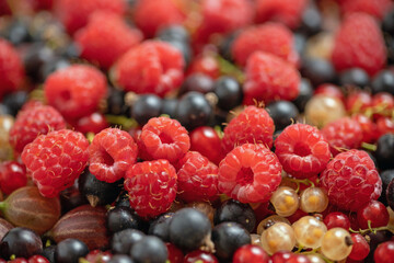 Berry Organic Fruits background. Raspberries, gooseberries, red, black and yellow currants. Various of many fresh ripe berries. Healthy eating, Vegan food, Diet, Top view, close-up