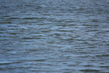 waves on the lake in Romania,