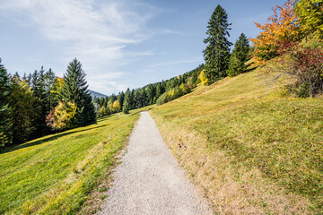 Fototapeta na wymiar Wanderweg im Herbst, Herbstwanderung, Auszeit
