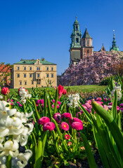 Spring in Krakow - Wawel Castle in flowers.