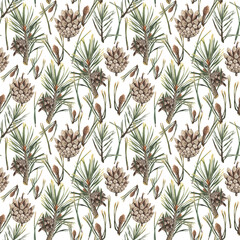 Watercolor pattern, pine twig  ripe pine cone. For decoration of design compositions containing natural elements.