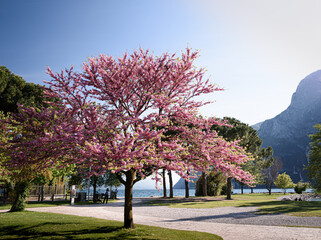 The guardians of Lake Garda