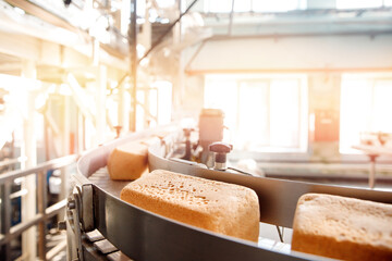 Square fresh bread on conveyor automatic production line bakery after stone oven, sunlight