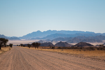 gravel road leading to sossusvlei in namibia