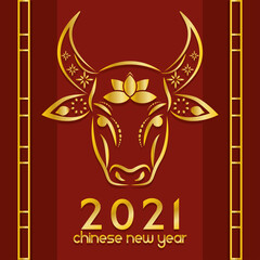 Chinese new year 2021 card Ox Vector illustration