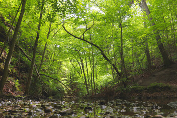 Fototapeta na wymiar Oglesby, Illinois, USA - May 16th, 2021. Forest trail. Scenic panoramic view of the Canyon in National Park. Mountain hiking trail.