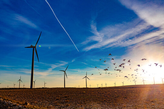 Parque e&oacute;lico en el campo. Aerogeneradores para la generaci&oacute;n de electricidad. Concepto de energ&iacute;a verde. 