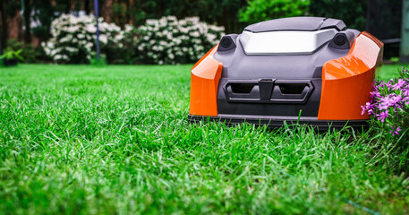 Lawn robot mows the lawn. Robotic Lawn Mower cutting grass in the garden. - 434631135