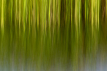 Abstract of vertical lines