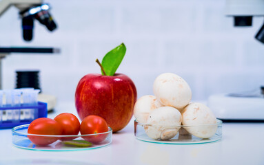 Chemical Laboratory of the Food supply . Food in laboratory, dna modify .GMO Genetically modified food in lab