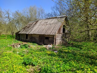 old ruined and abandoned wooden house in the forest