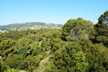 The view from Castell de Bellver castle, Mallorca island, Spain - 434633797
