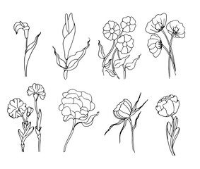 Set of flowers of various types on an isolated background.  - 434634557