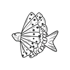Sea fish animal
