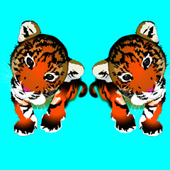 Tiger cub twins