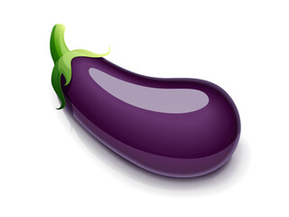 Eggplant. Vegetable food. Eps10 vector illustration. Isolated