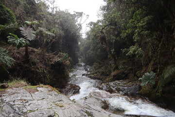 Rio de páramo