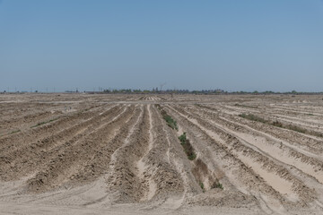 Agriculture at the south shore of Salton Sea, Niland, Southern California