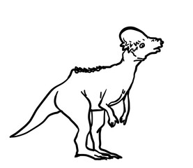 Simple and realistic Pachycephalosaurus line drawing