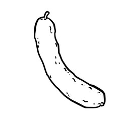 Simple and realistic cucumber line drawing