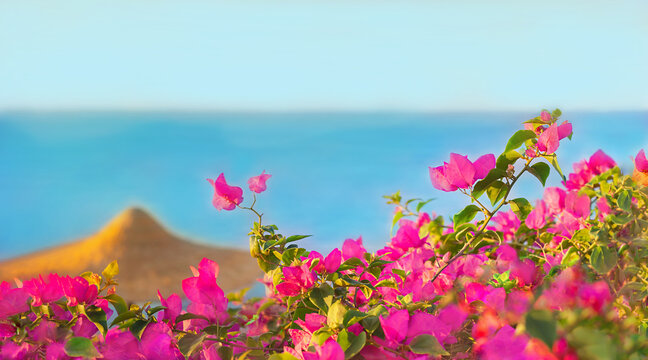 Romantic vacation destination background. Tourism  on Tropical island resort beach. Summer holidays season concept. Panoramic scene with exotic  flowers. 