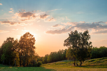 Fototapeta na wymiar Sun behind a tree at sunset.