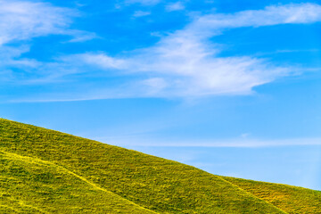 Hillside of grass at springtime with blue sky
