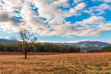 Obraz premium vibrant autumn landscape taken in Cades Cove valley in the Great Smoky Mountain national Park in Tennessee.