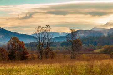 vibrant autumn landscape taken in Cades Cove valley  in the Great Smoky Mountain national Park in Tennessee.