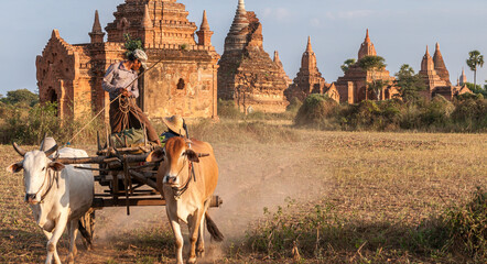Bagan temples - obrazy, fototapety, plakaty