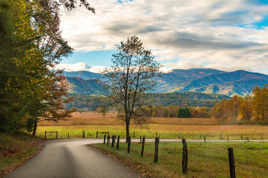 vibrant autumn landscape taken in Cades Cove valley  in the Great Smoky Mountain national Park in Tennessee.