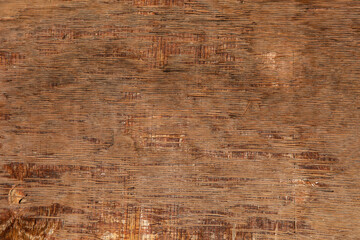 old wood texture