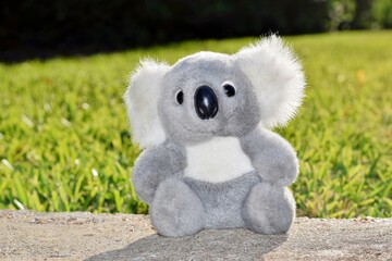 Plush Koala teddy bear toy, outdoors isolated on flat surface with green grass background. © Brett