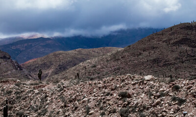 Paisaje de montaña en el norte argentino