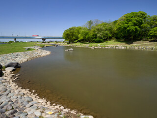 兵庫島公園と多摩川河川敷　東京都世田谷区