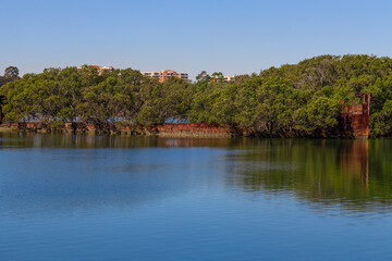 Fototapeta premium Rusted shipwreck in a mangrove area on Wentworth point Parramatta River NSW Australia 