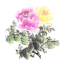 Traditional chinese ink and wash painting of peony flower