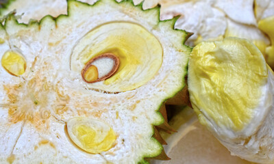 Durian is a sweet, delicious and expensive fruit.