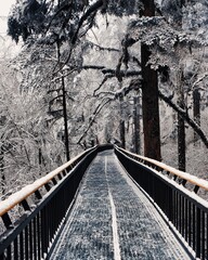 railway snow