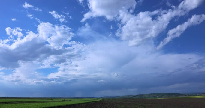 Rural Landscape With Green Grass Field And Blue Sky - timelapse