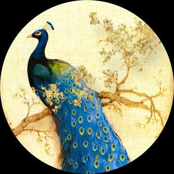 3d illustration of a peacock with blue feathers