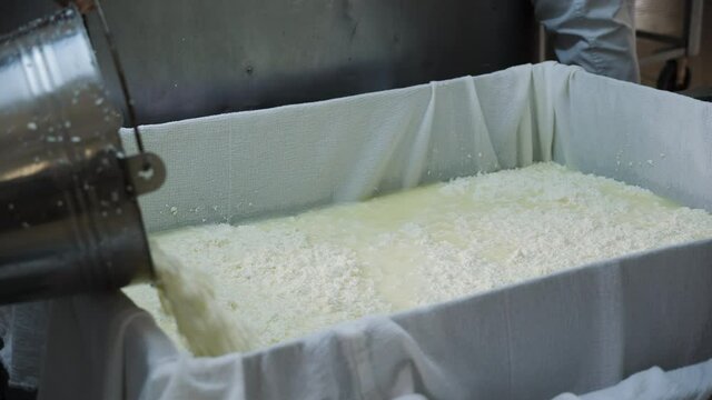 The process of making cheese - bale out the curds to separate from the whey by filtering through a white cloth