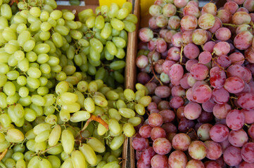 bunch of grapes